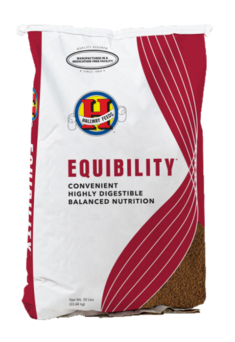 Equibility bag